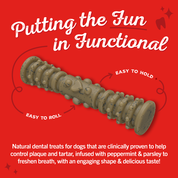 Stella & Chewy's Dental Delights Medium Dog Dental Treats