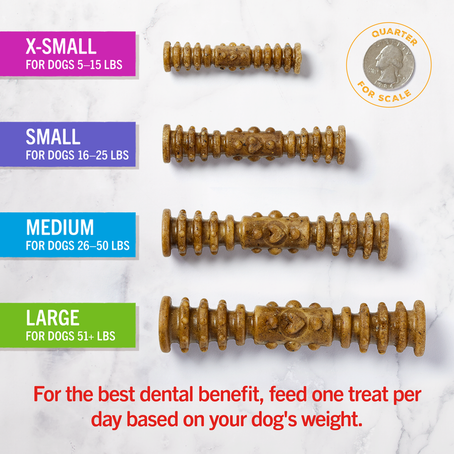 Stella & Chewy's Dental Delights Medium Dog Dental Treats