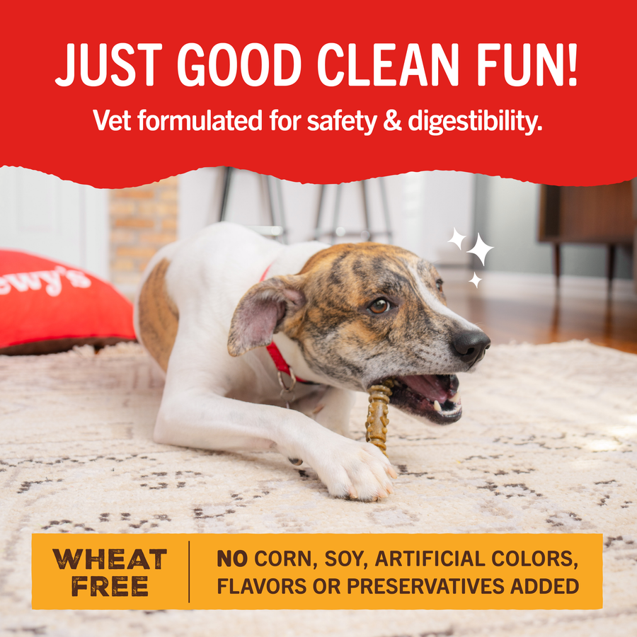 Stella & Chewy's Dental Delights Medium Dog Dental Treats