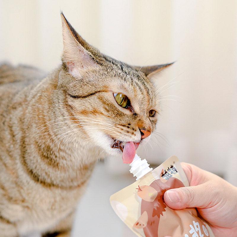 帕特 猫用胖酱肉泥肉酱包猫咪零食帕特诺尔猫条增肥鸡肉湿粮包 一包100g - Maokidspet