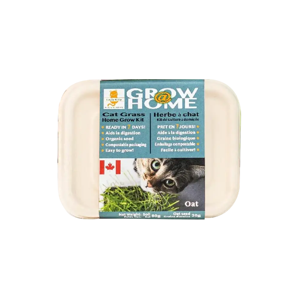 Fog Farms Oat Grass Kit For Cats - 200g
