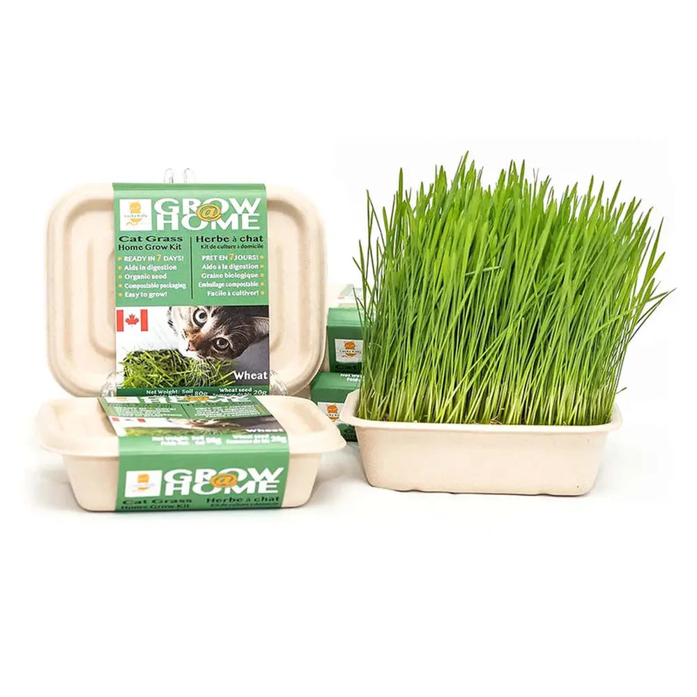 Fog Farms Wheat Kit For Cats - 200g
