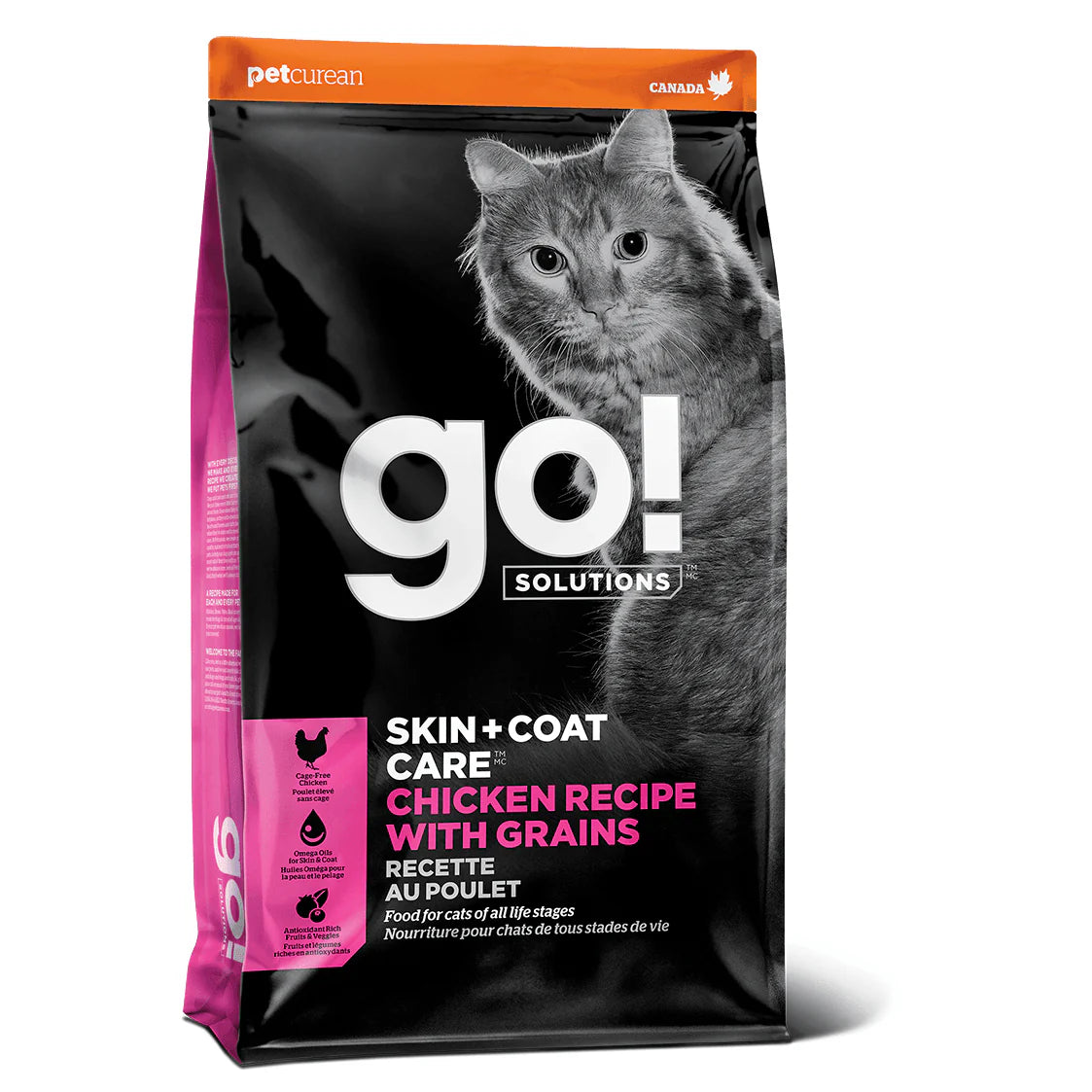 Go! Skin + Coat Care Chicken Recipe With Grains for cats