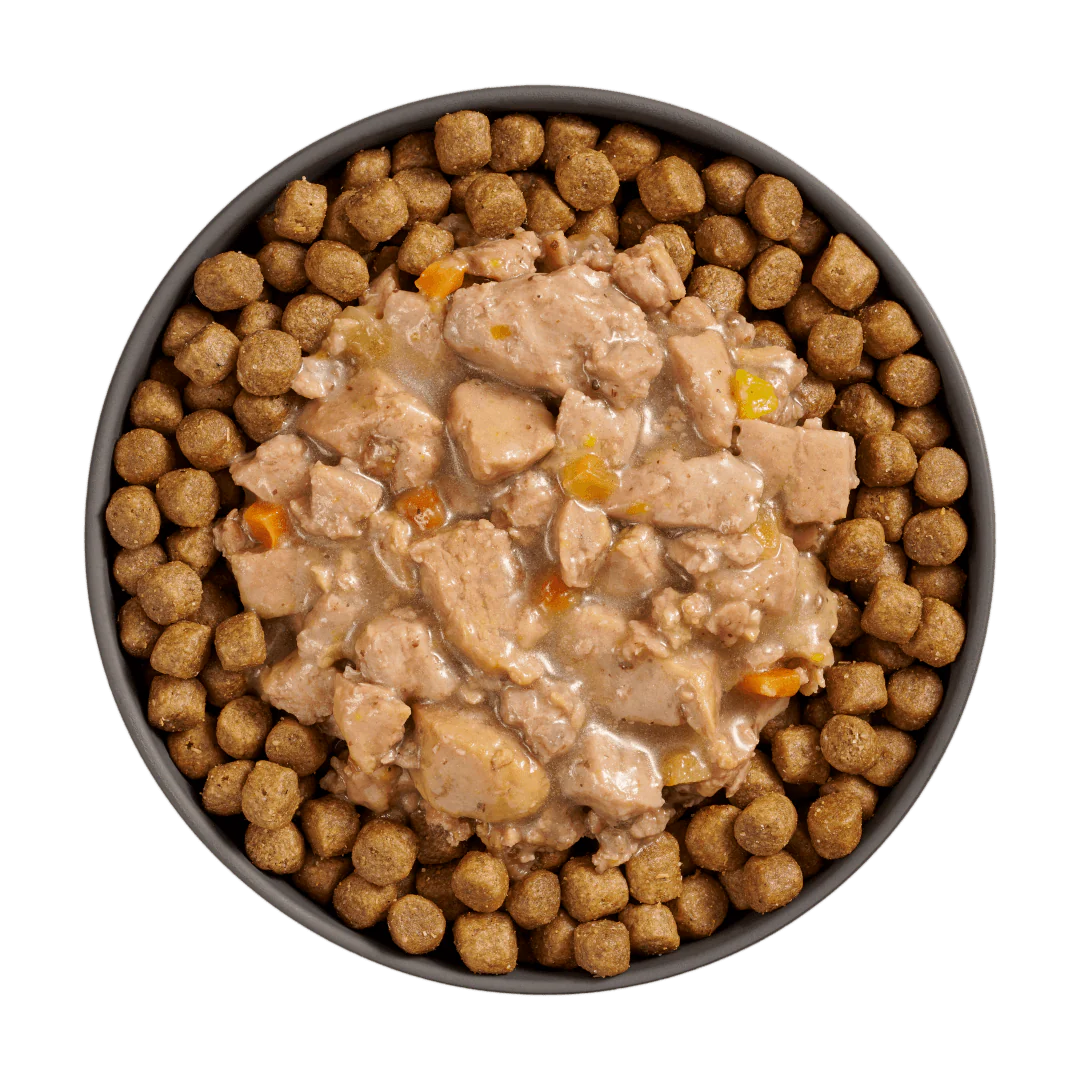 Go! Booster Digestive Health Minced Chicken + Duck with gravy for cats