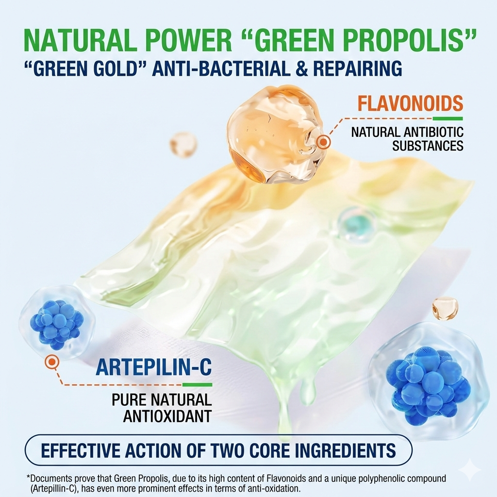 Lorde Pet Cleaning Wipes with Green Propolis - 80 Sheets