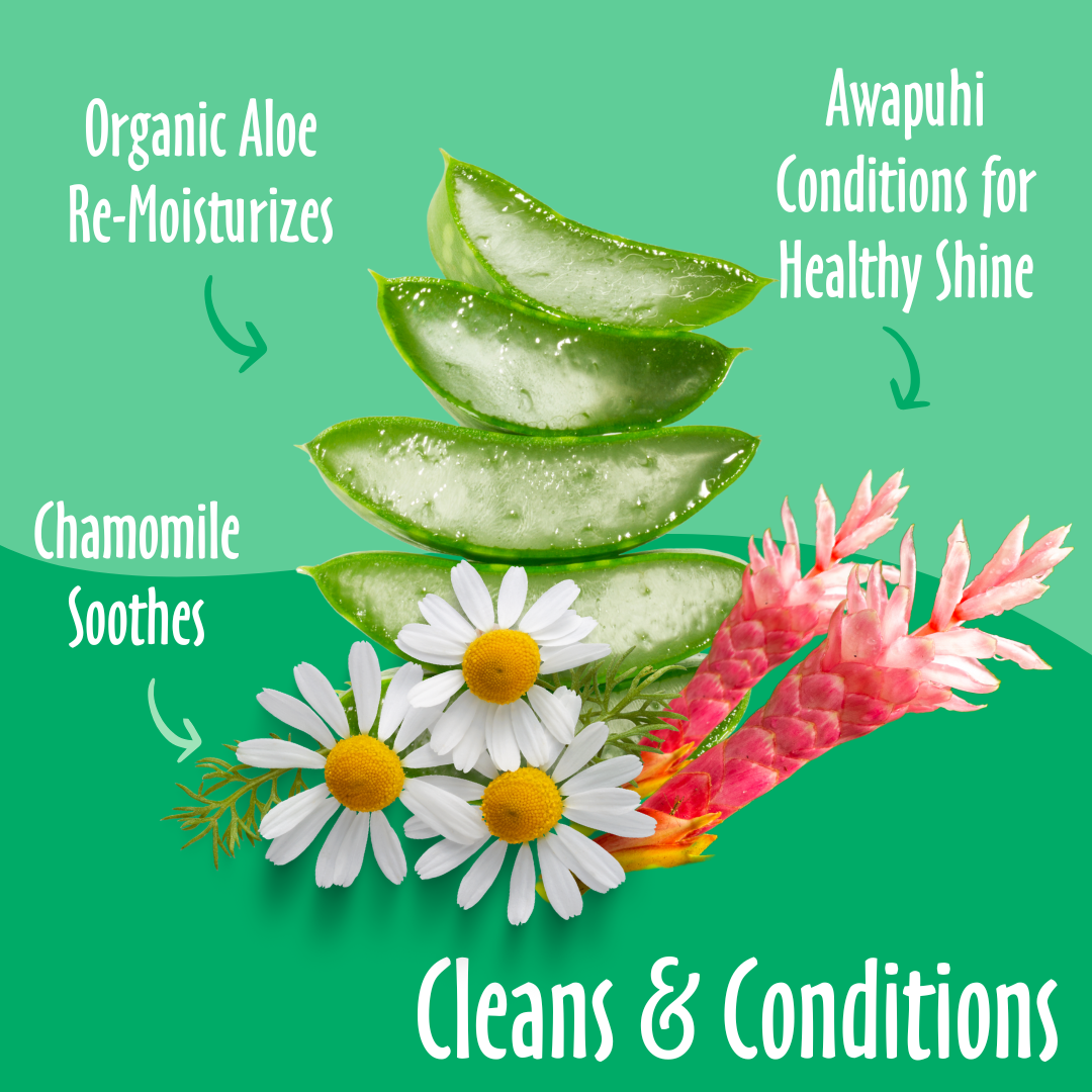 Earthbath Grooming Wipes - Green Tea & Awapuhi - 100 Wipes