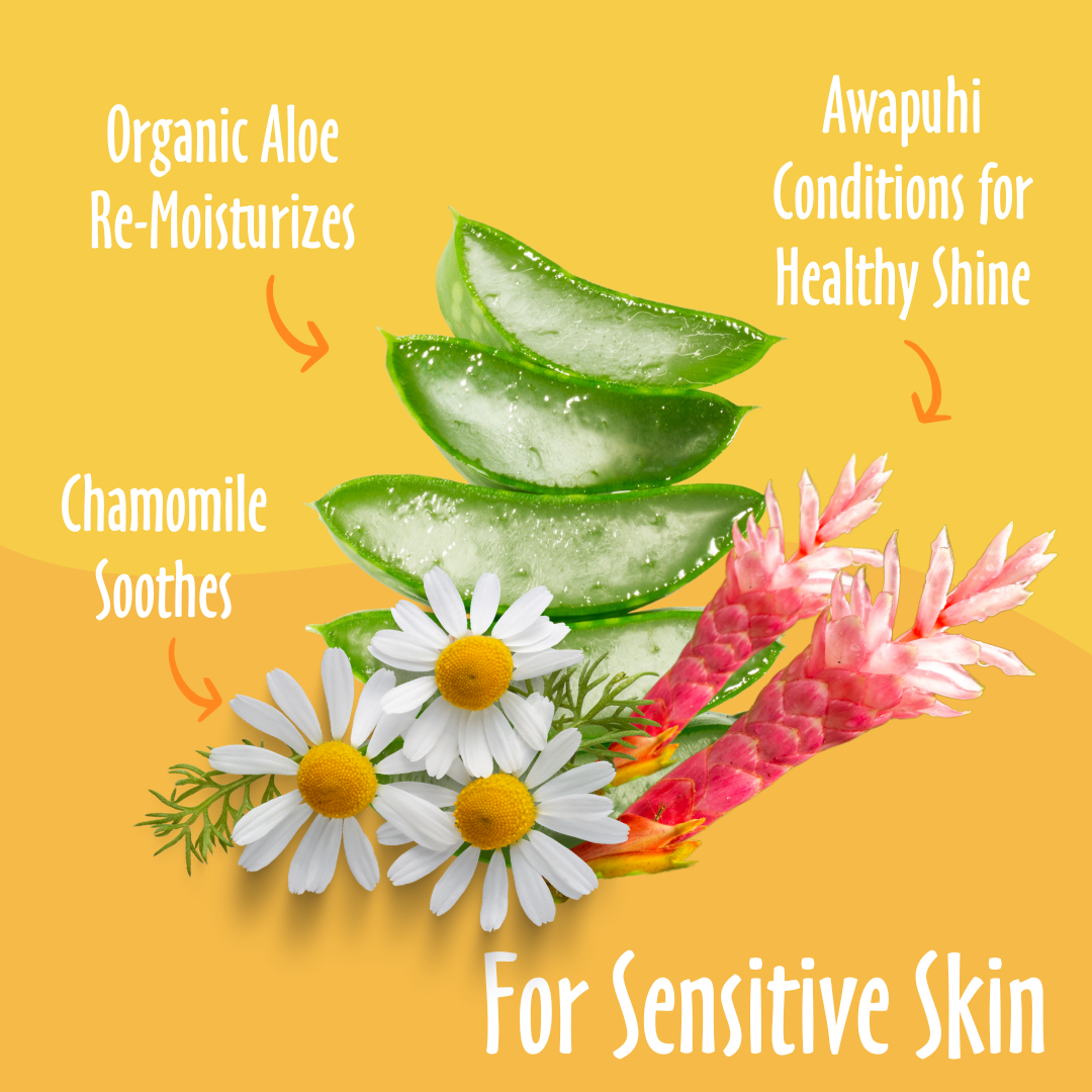 Earthbath Hypoallergenic Cat Wipes - Fragrance Free - 100 Wipes