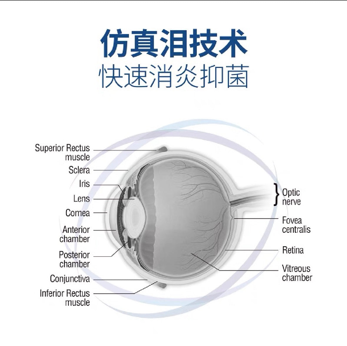OMNIX pet eye drops