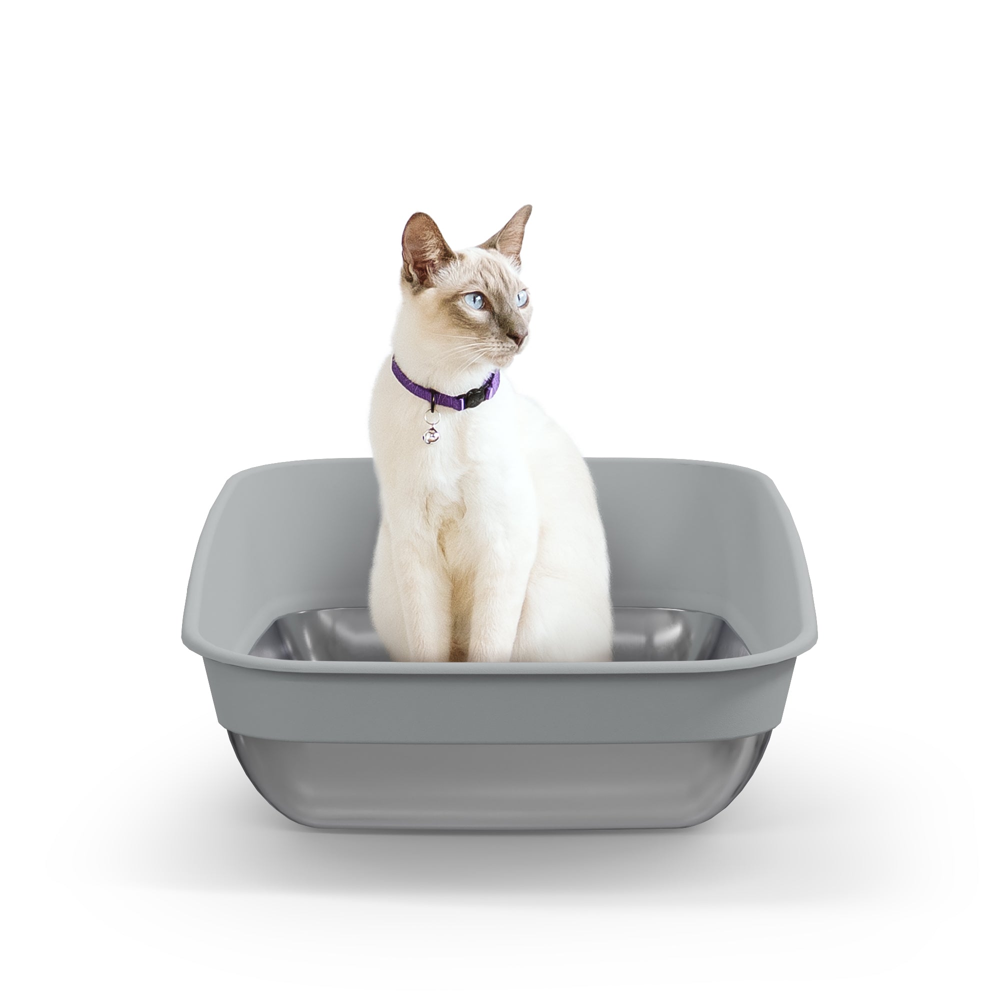 Litter Genie Platinum Litter Box