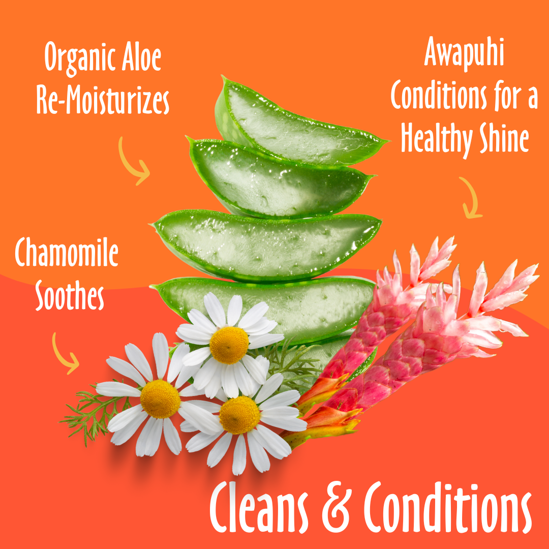 Earthbath Grooming Wipes - Mango Tango - 100 Wipes