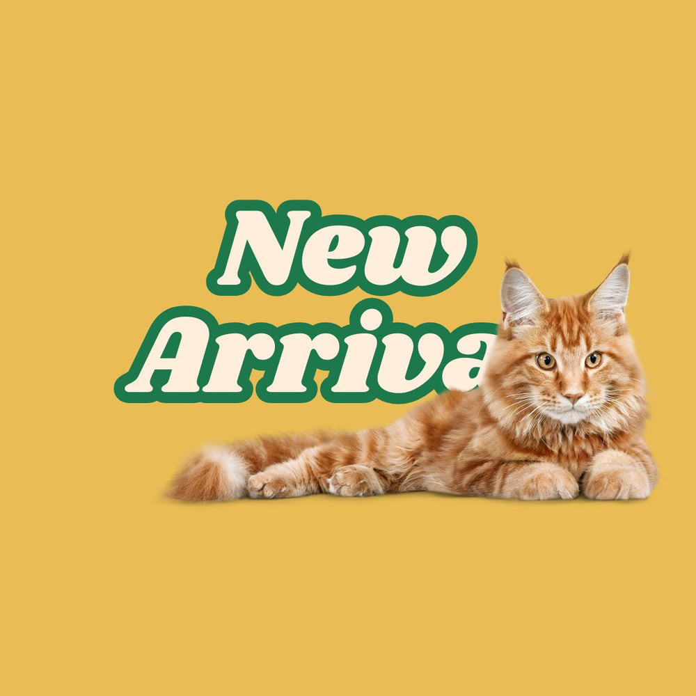 Maokids Pet Salon listing photo