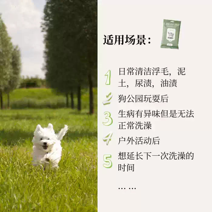 LinnaHaus Spa级宠物免洗清洁手套 椰子油精华 犬猫通用日常清洁必备 多口味可选 一袋6枚入