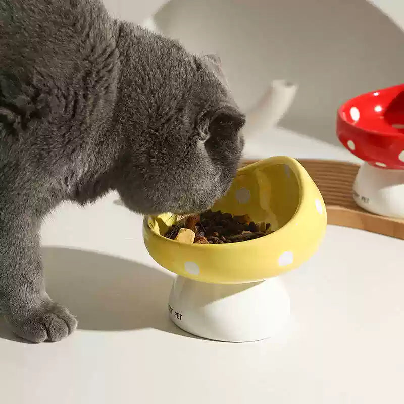 Lucky Pet Mushroom Shape Ceramic Pet Bowl