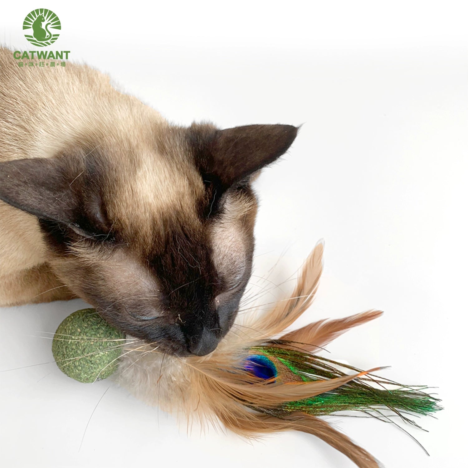 Catwant Feather Kicking Ball Enrichment Toy For Cat