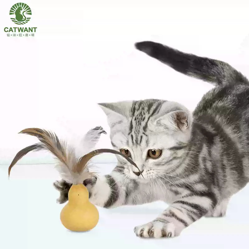 Catwant Gallnut Gourd Cat Toy