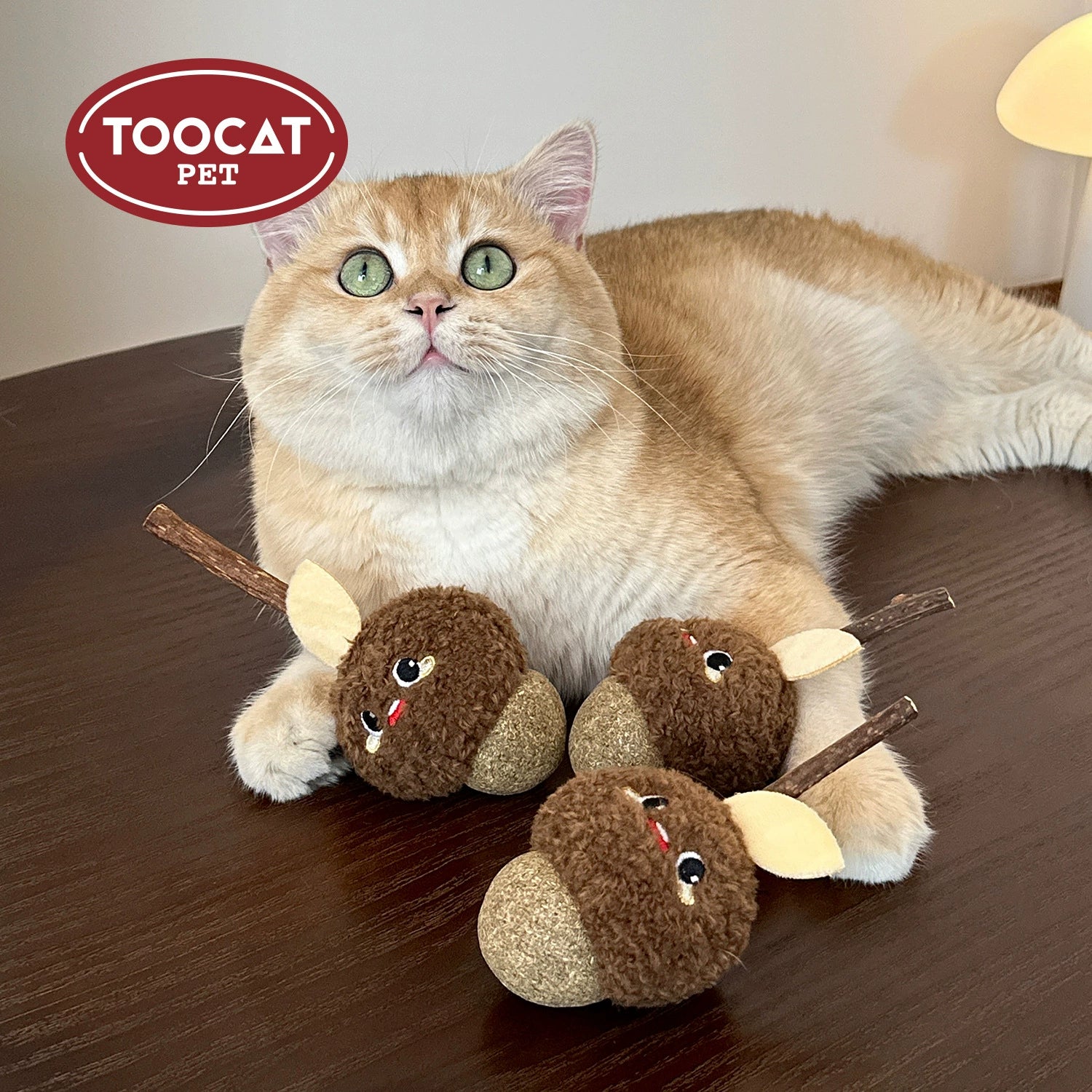 TOOCAT Hazelnut Shaped Cat Chew Toy with Matatabi Stick