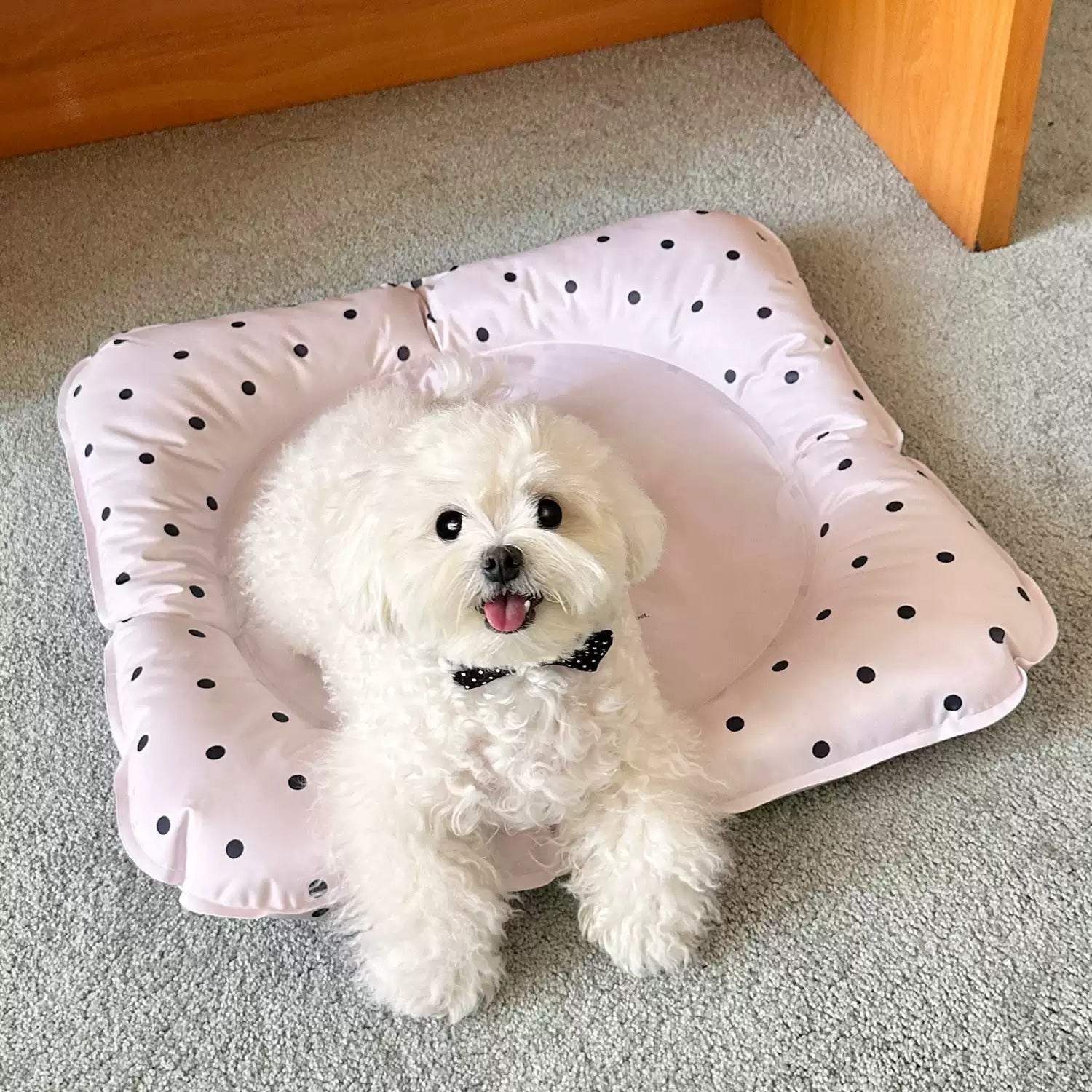 TOOCAT Cute Square Shape Pet Cooling Mat