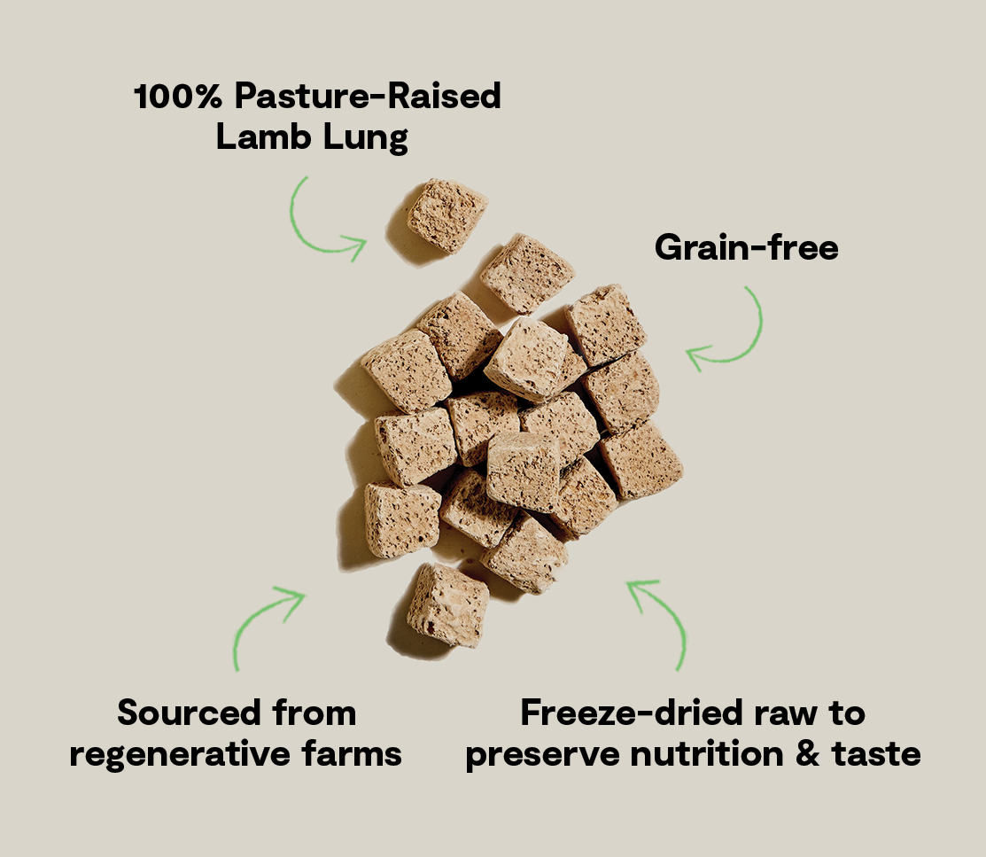 Open Farm Freeze Dried Raw Regeneratively Sourced Lamb Lung Dog Treat
