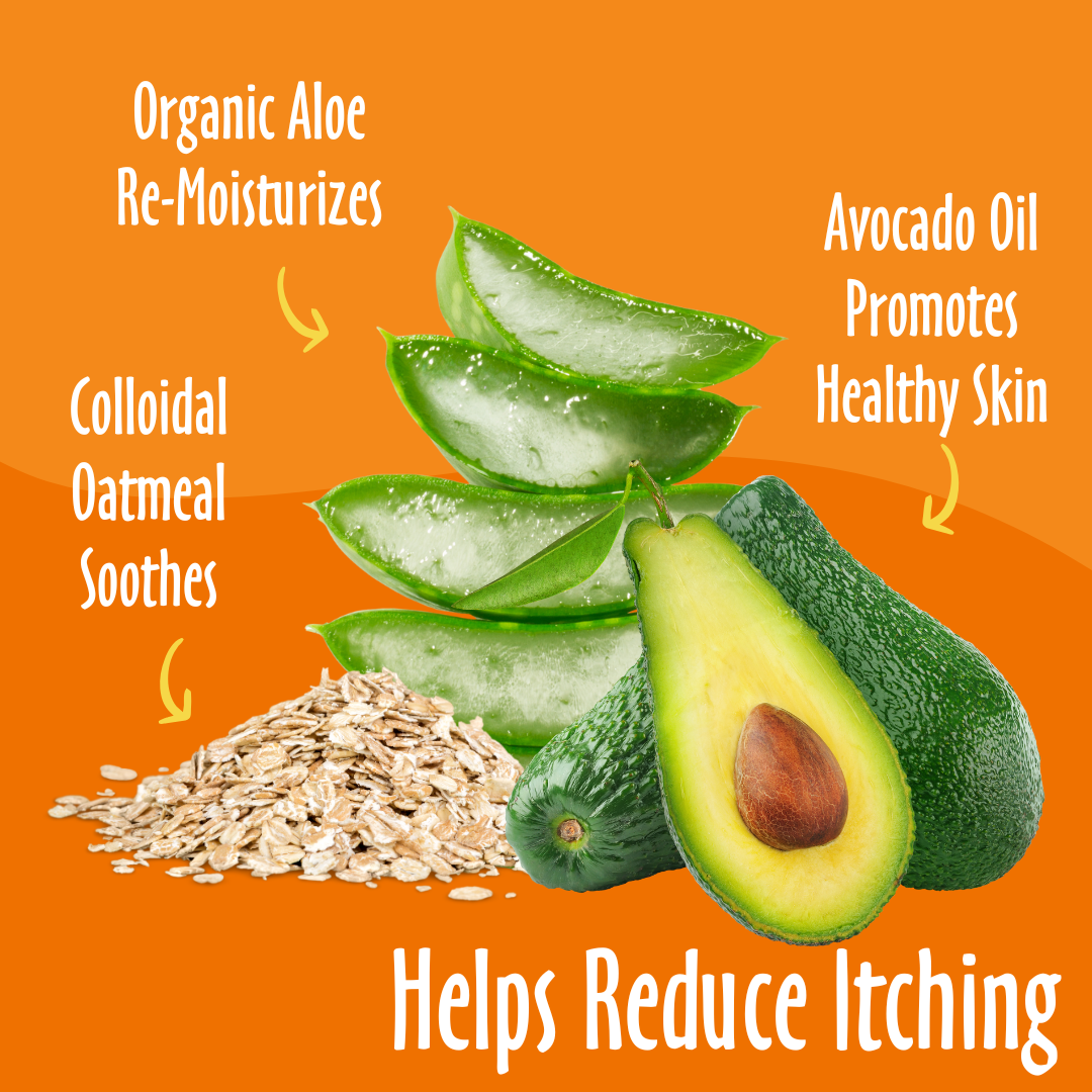 Earthbath Grooming Wipes - Vanilla & Almond - 100 Wipes