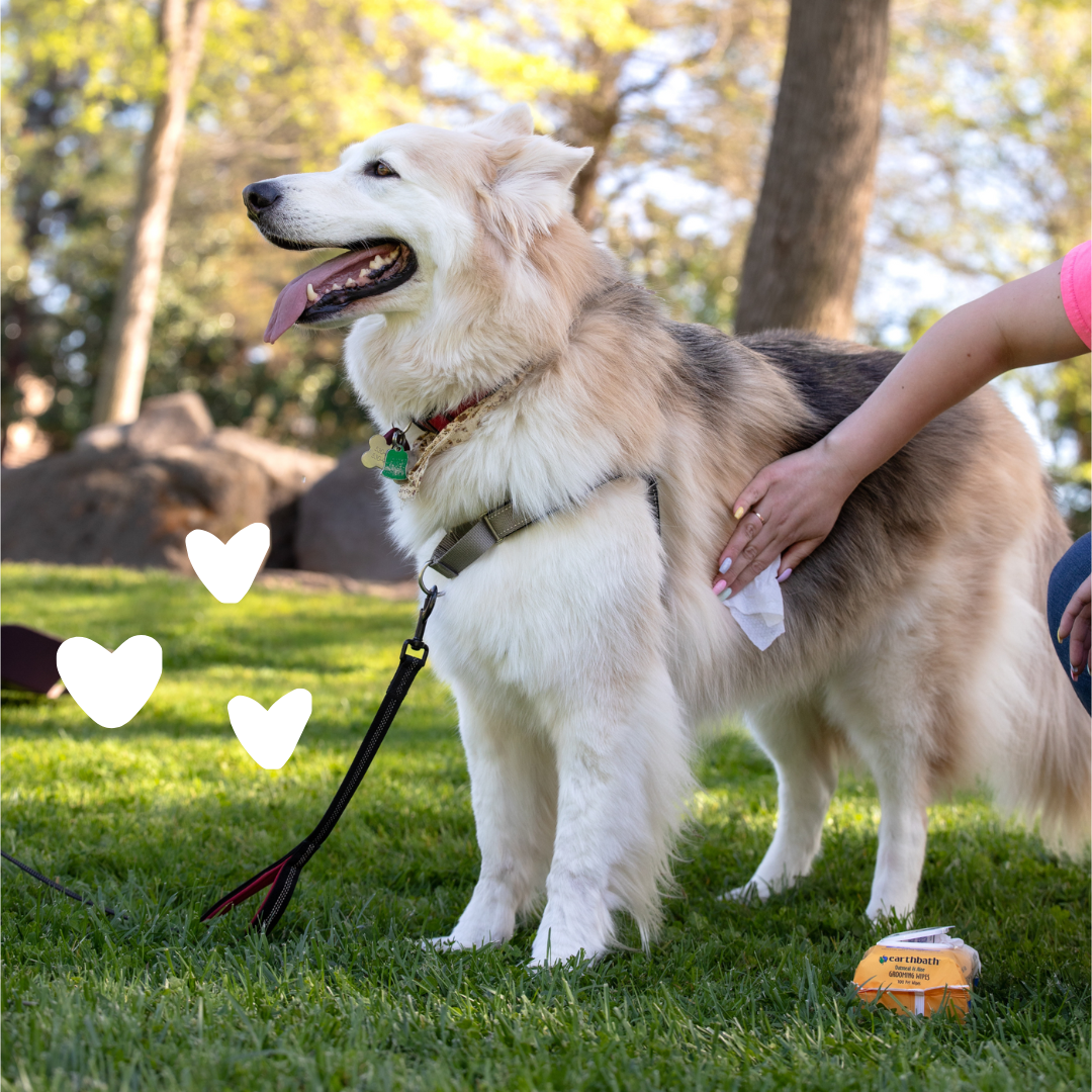 Earthbath Grooming Wipes - Vanilla & Almond - 100 Wipes