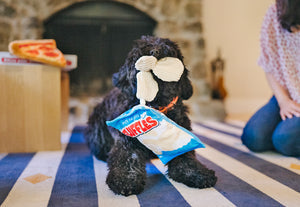 Pet Play Snack Attack Fluffles Chips For Dog