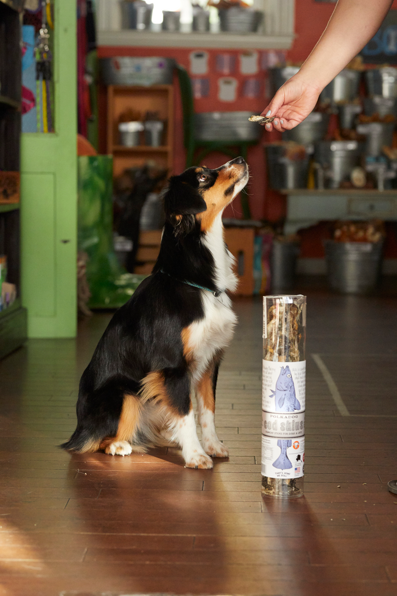 Polkadog Long Stick Cod Skin Treats For Dog & Cat