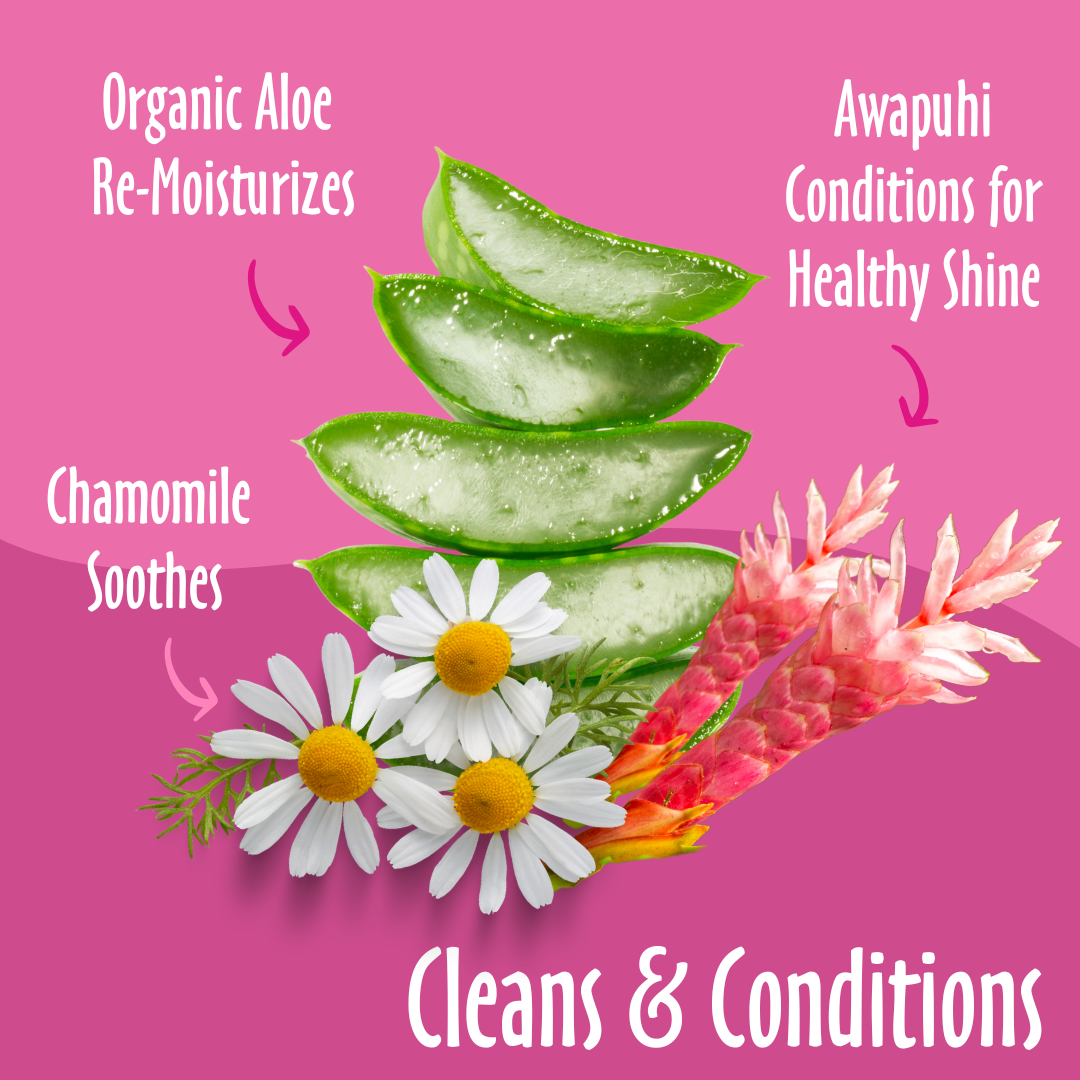 Earthbath Puppy Wipes - Wild Cherry - 100 Wipes