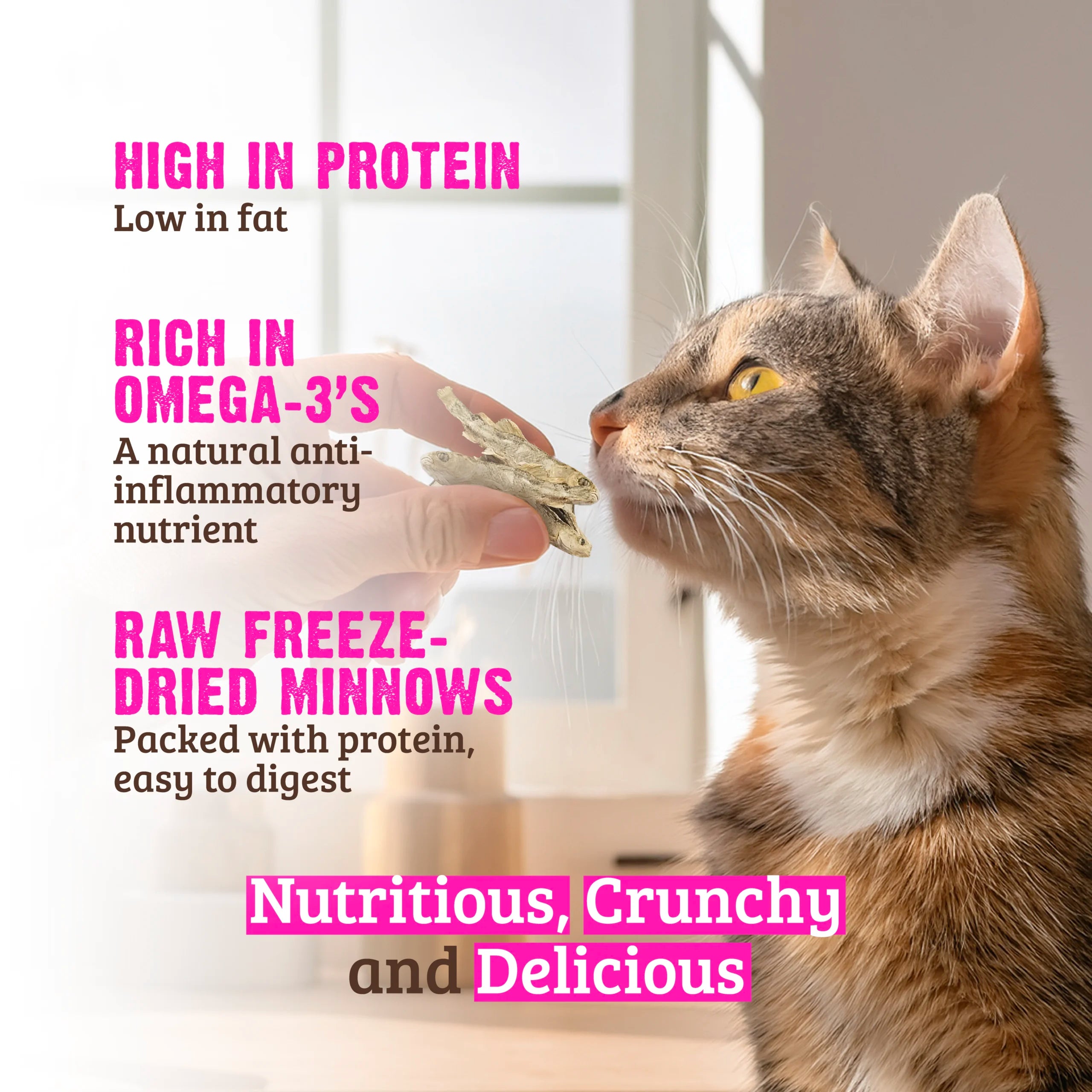 Rawz Freeze Dried Minnows Crunchy Cat Treats
