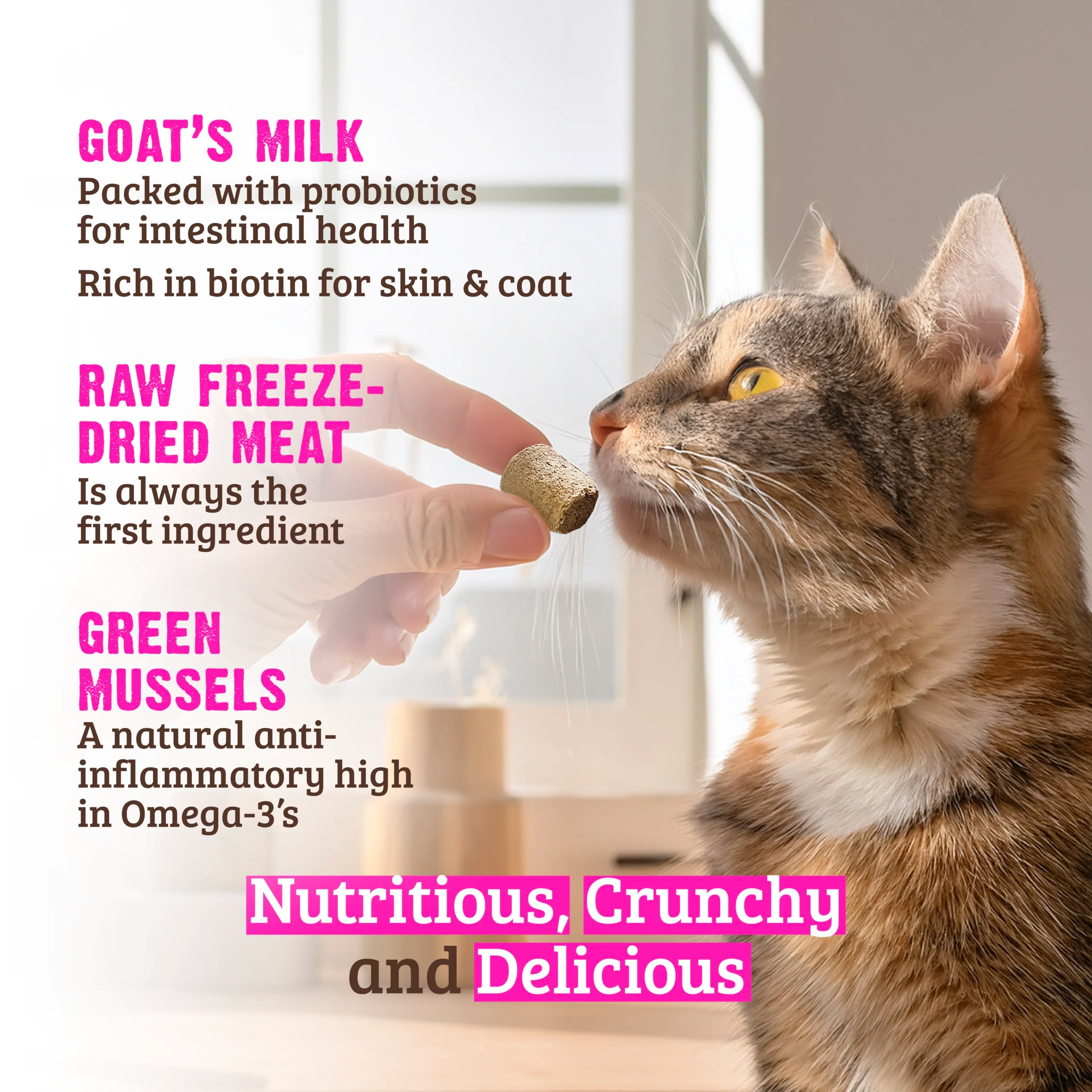 Rawz Freeze Dried Rabbit, Goat's Milk & Green Mussels Crunchy Cat Treats