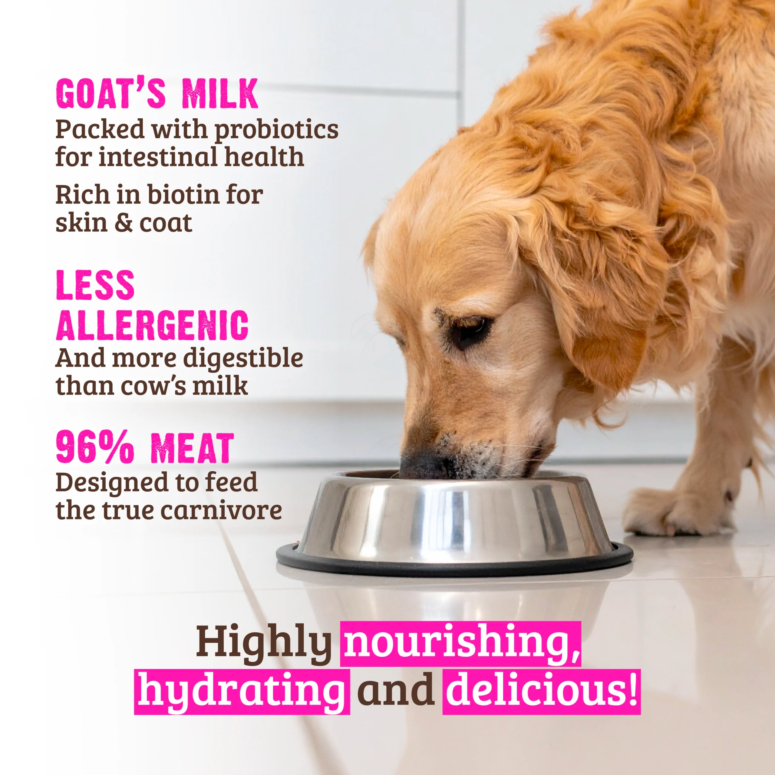 Rawz with Goat Milk 96% Beef & Beef Liver Canned Dog Food - 12.5oz