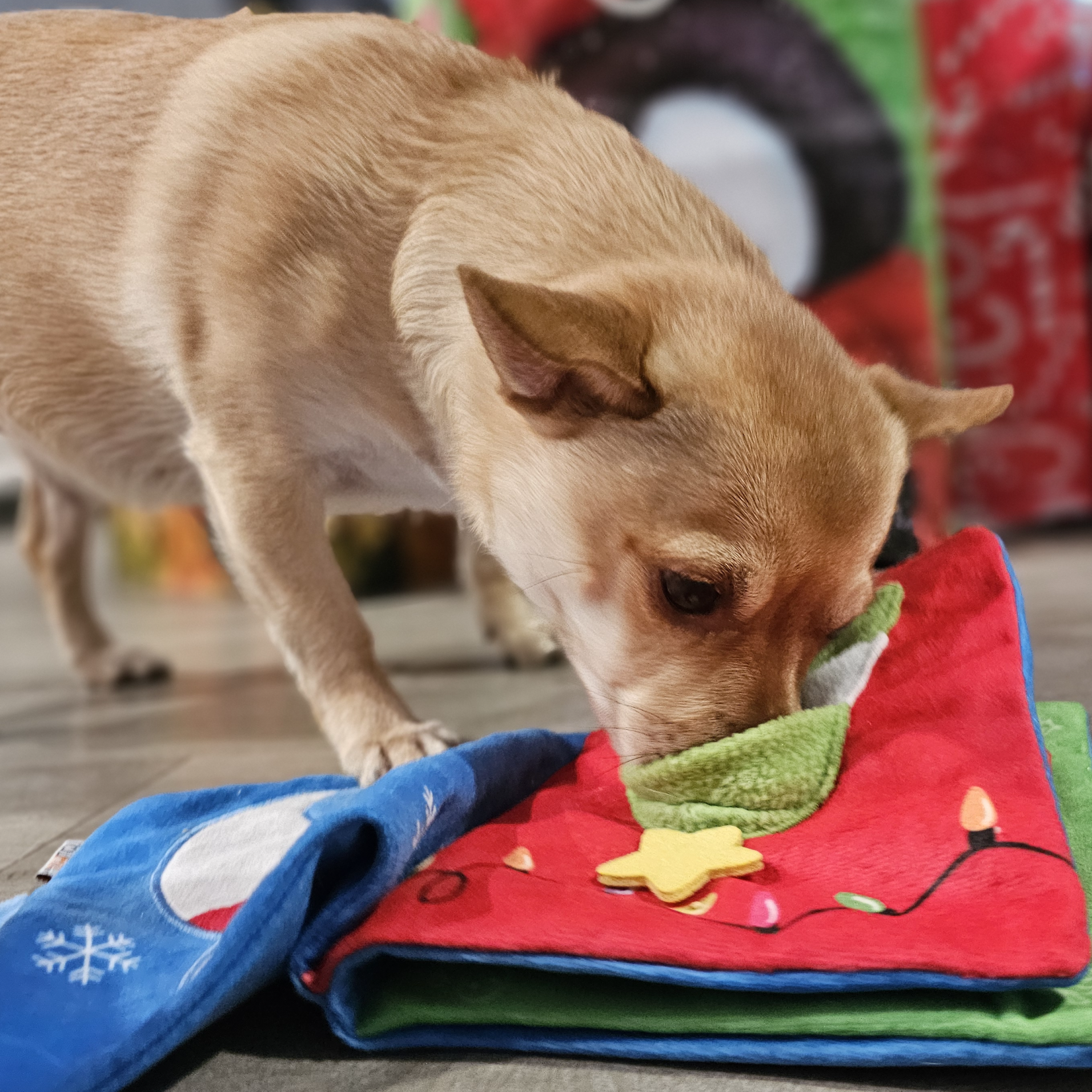 FoufouBRANDS Hide 'n Seek Holiday Storybook (7")