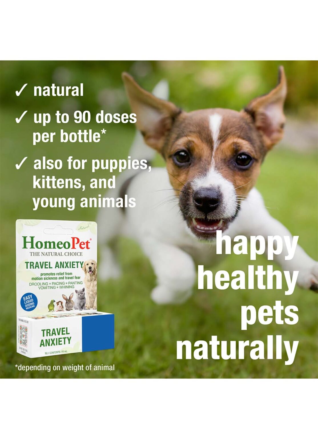 HomeoPet Travel Anxiety Drops For Dog & Cat - 15ml