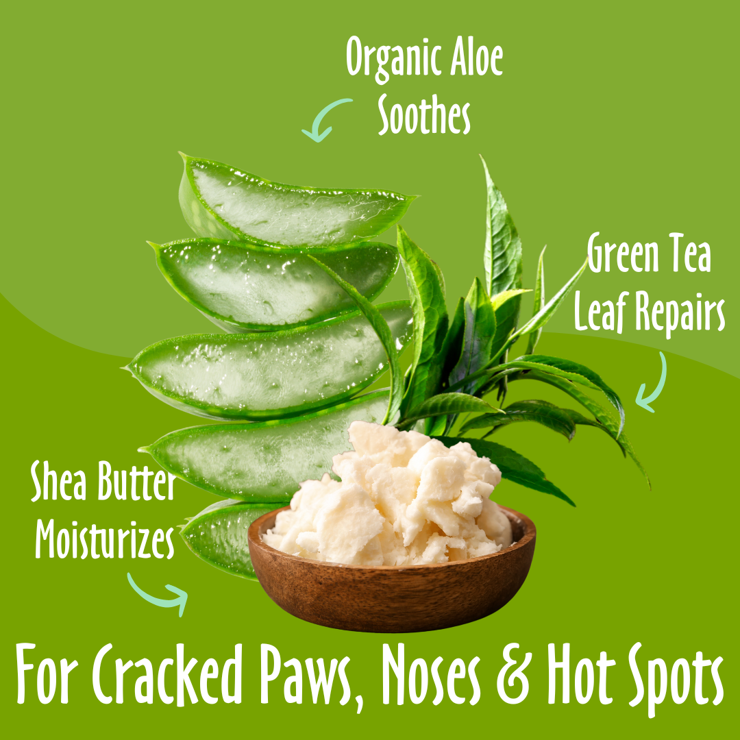 Earthbath Treatment Balm with Shea Butter - For Cracked Paws, Nose & Hot Spots