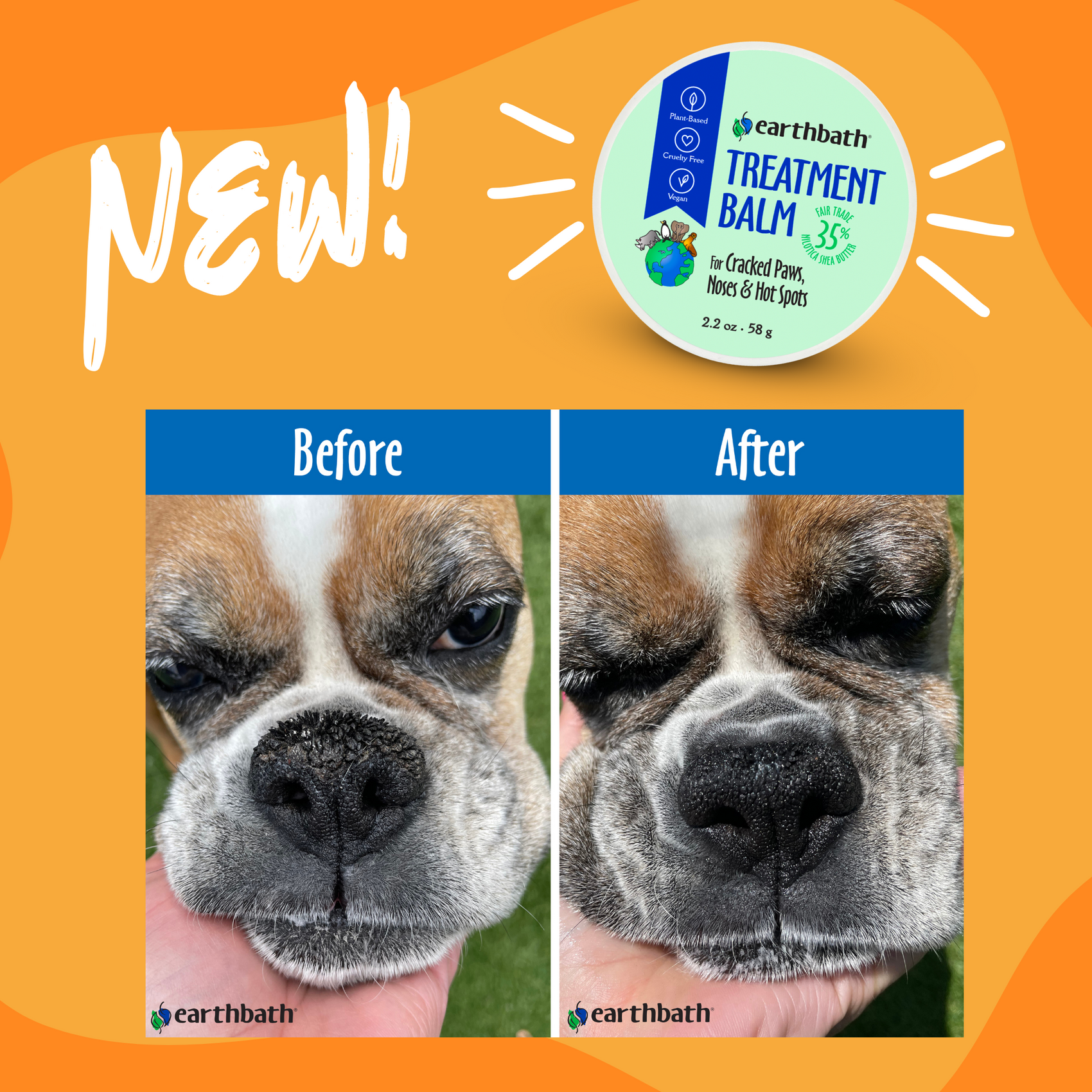 Earthbath Treatment Balm with Shea Butter - For Cracked Paws, Nose & Hot Spots