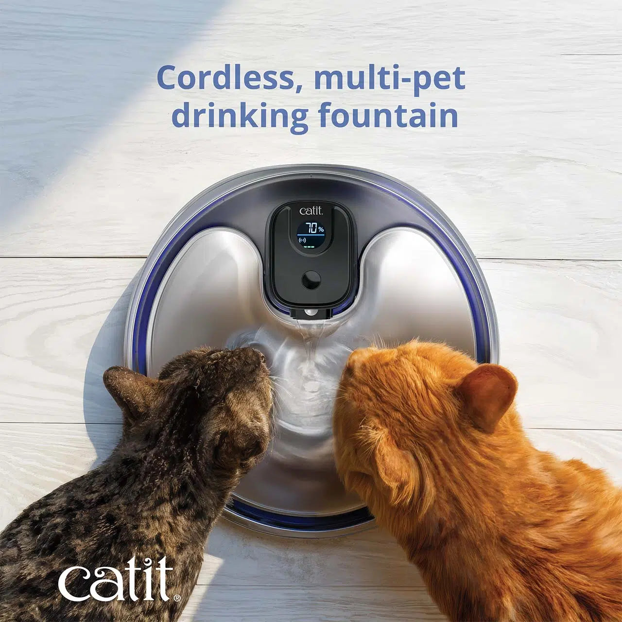 Catit PIXI Stainless Steel UV-C Drinking Fountain