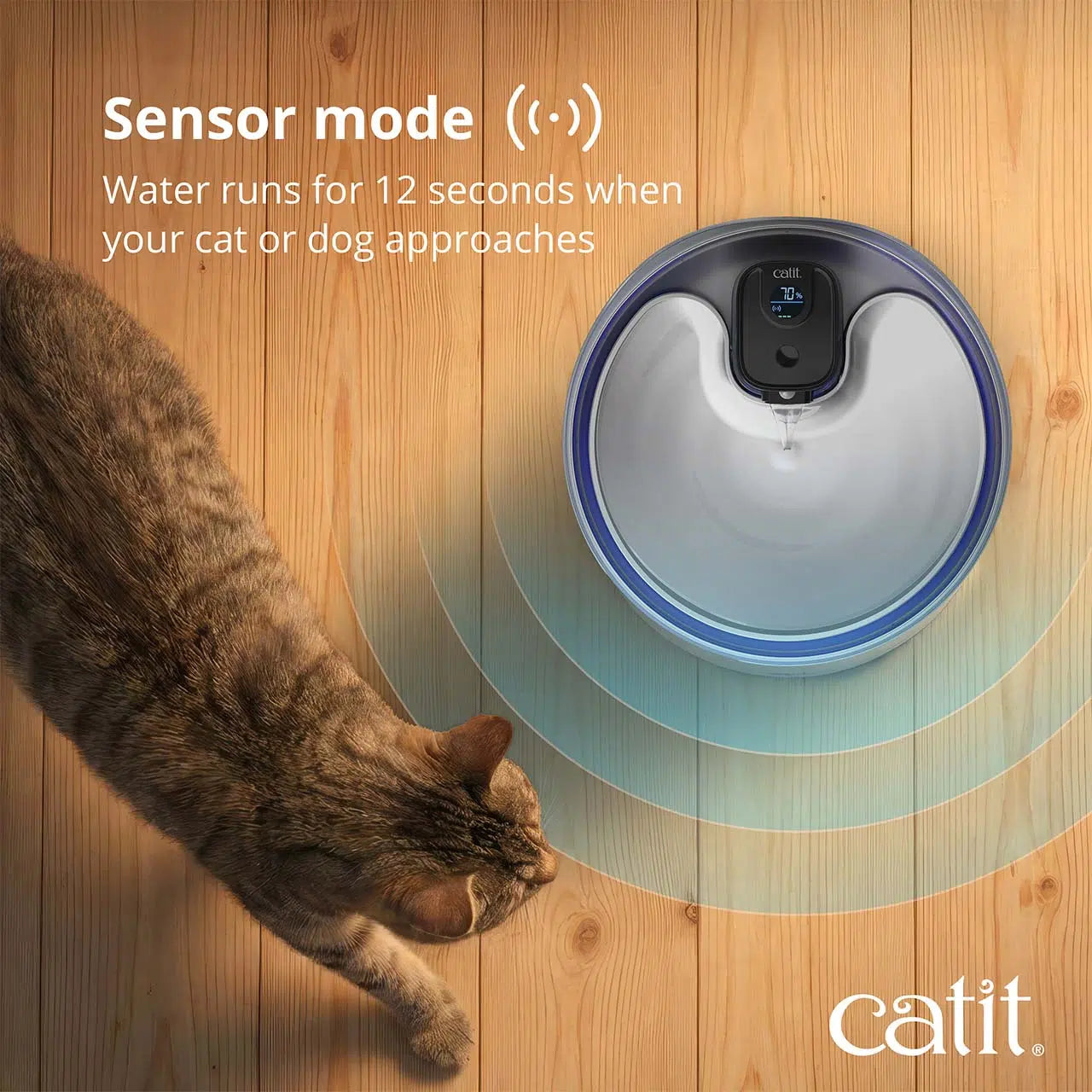 Catit PIXI Stainless Steel UV-C Drinking Fountain