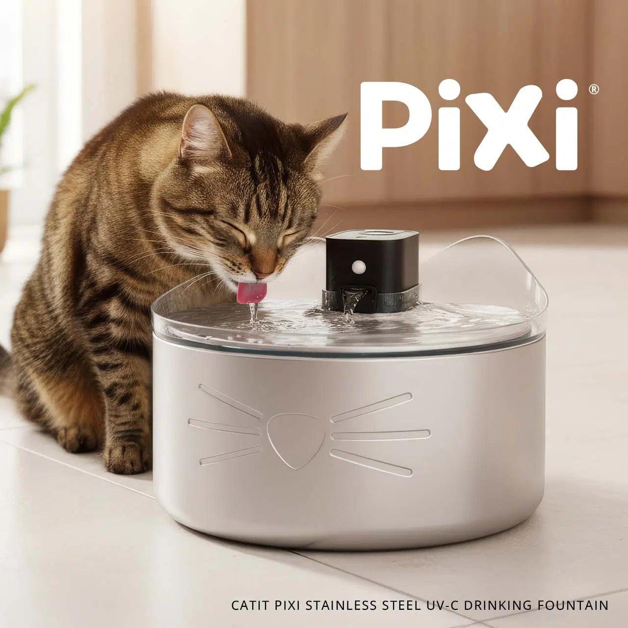 Catit PIXI Stainless Steel UV-C Drinking Fountain