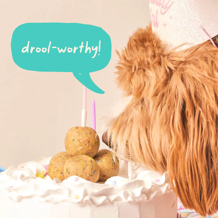 WOOF Birthday Cake Popsicle Refill Pops For Dog Toy - 3 Sizes