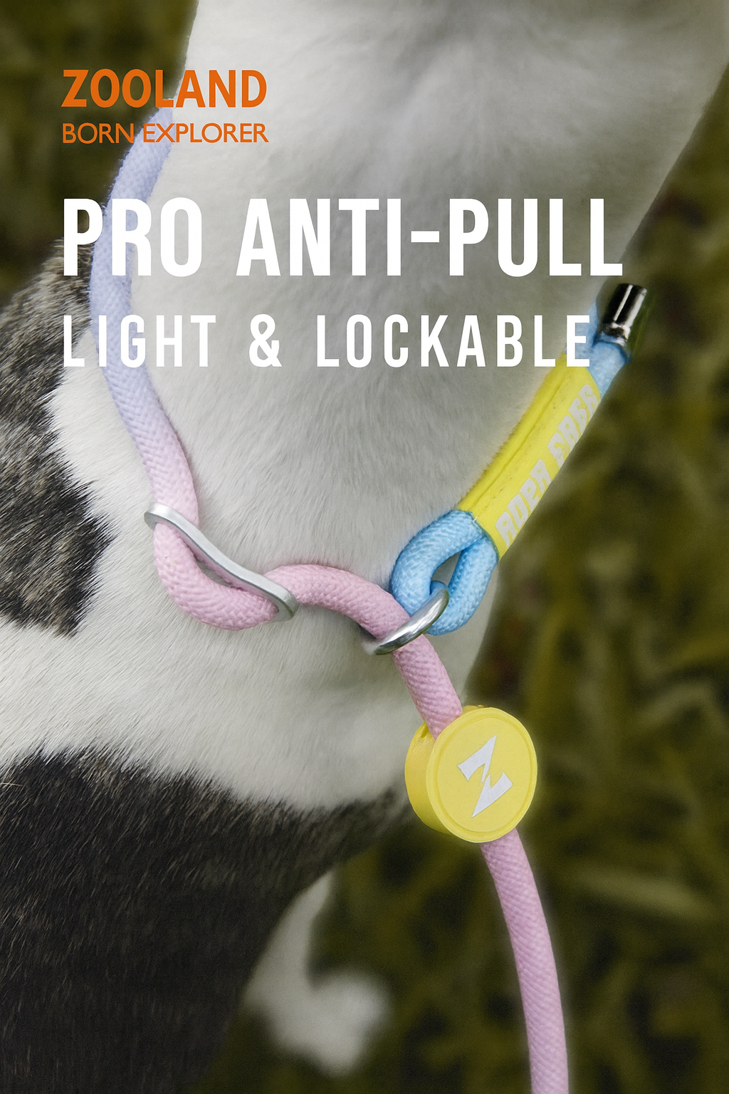 ZOOLAND Adjustable No-Pull Dog P-Leash – Multi-Color
