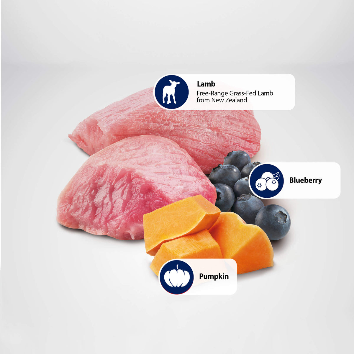 FARMINA PUMPKIN Dog Lamb & Blueberry Med/Maxi - 2.5kg