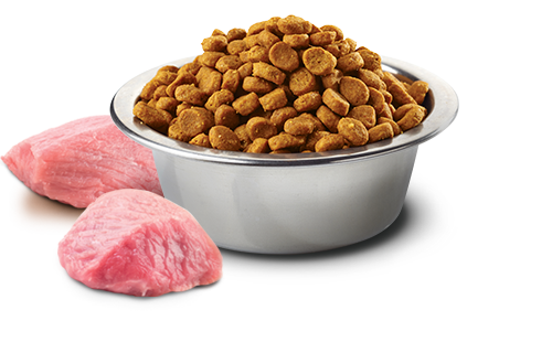 Farmina N&D Pumpkin Lamb & Blueberry Adult Mini Dog Food - 7kg