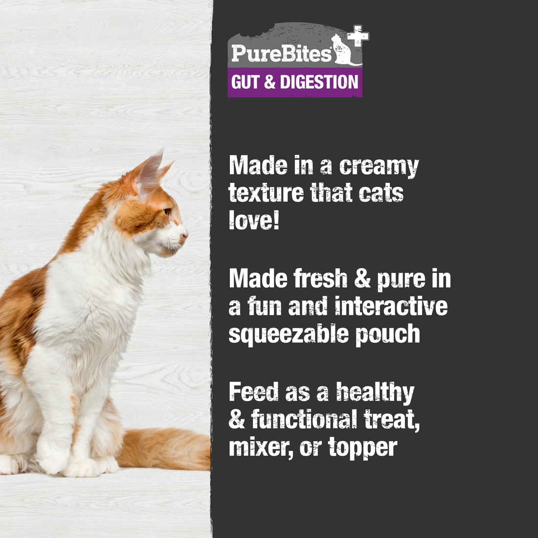 Purebites Digestion Squeezable Cat Treat - 71g