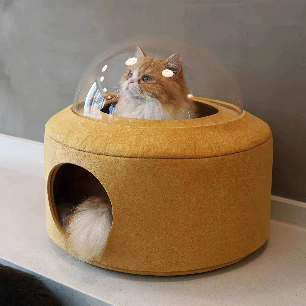 Purroom Cat Space Capsule Bed