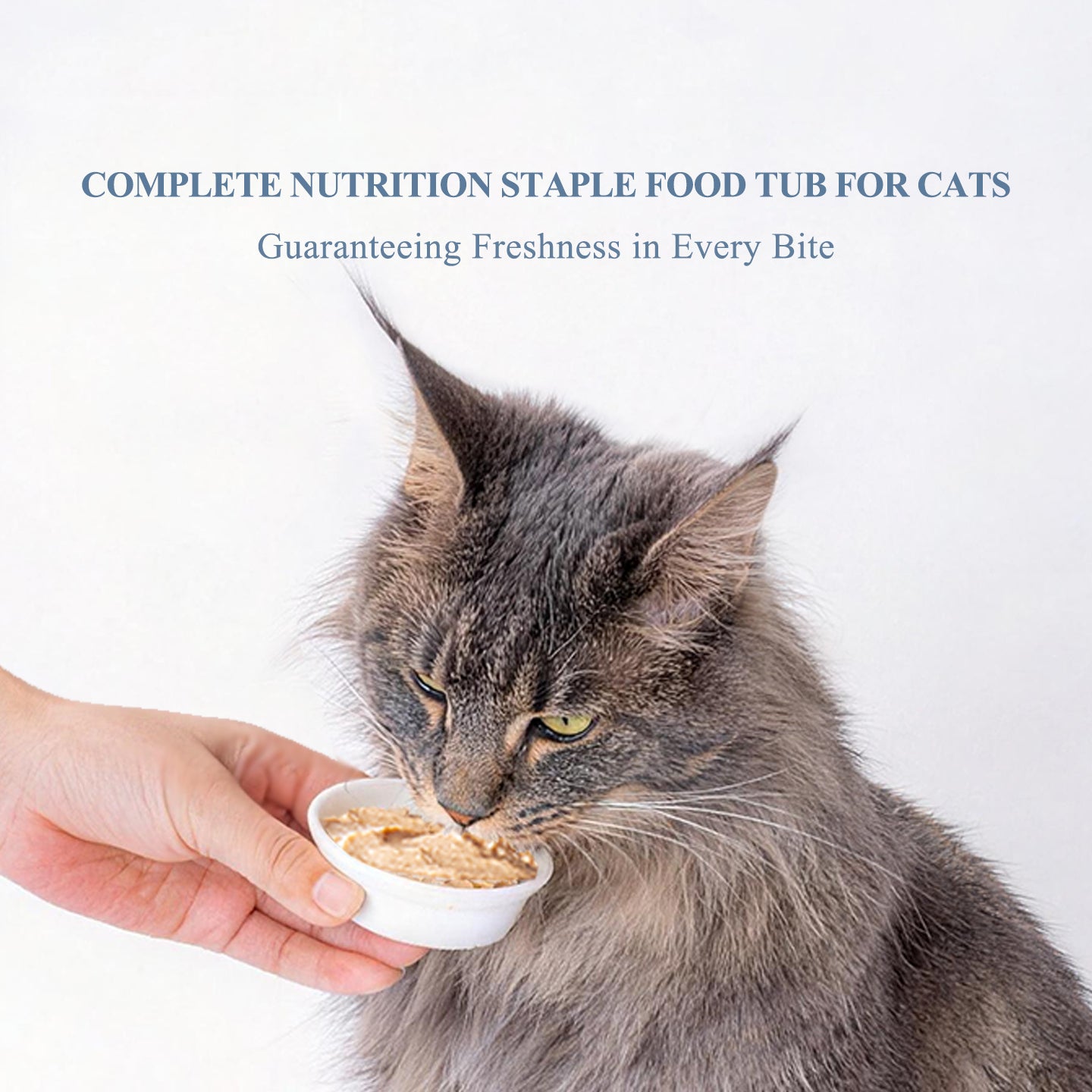 Rosy Fresh鲜朗 珍稀猫餐盒 全价主食罐幼猫成猫湿粮猫罐头排毛美靓毛 五款口味可选 一盒50g*8杯入