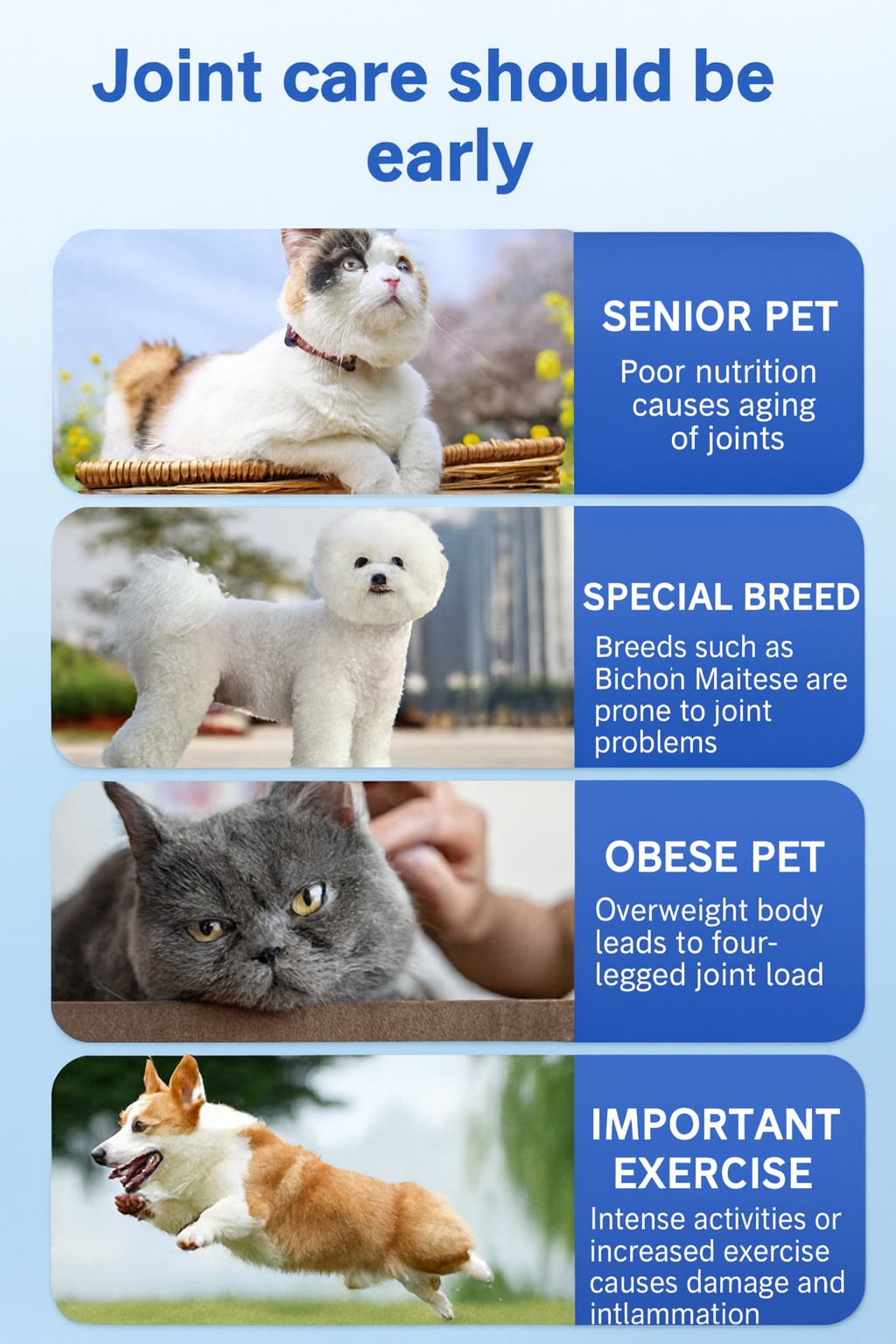 NOPMOS Hip&Joint Collagen Peptides Nutritional Supplement - 100ml