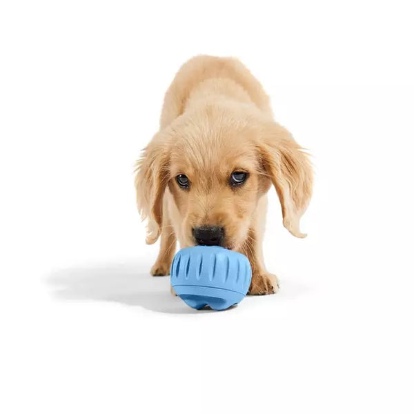 WOOF Pupsicle Treat Dispensing Dog Toy - Party Blue