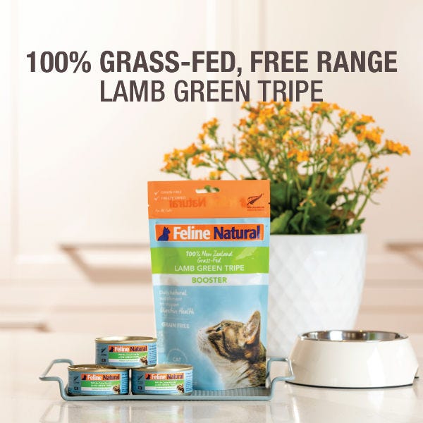 Feline Natural Lamb Tripe Freeze Dried Booster