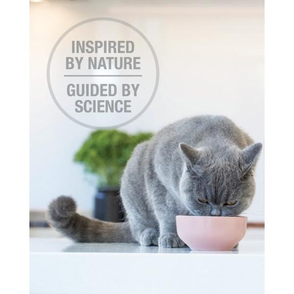 Feline Natural Raw Freeze-Dried Lamb Feast