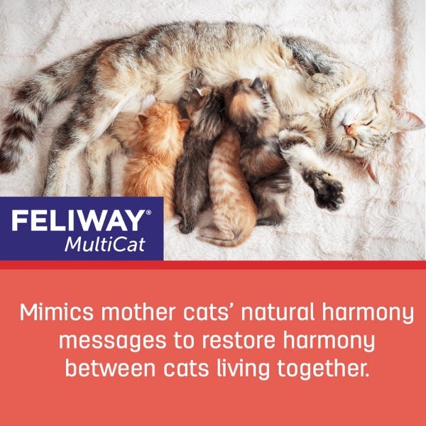 Feliway Friends Diffuser Starter Kit