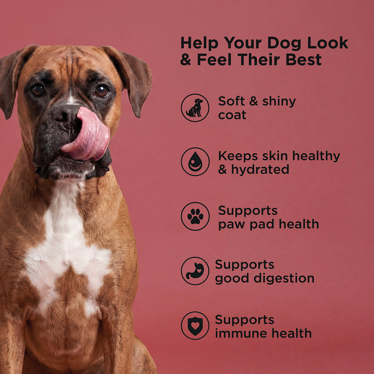 Go! Skin + Coat Care Beef Recipe With Grains Dry Dog Food - 3.5lb